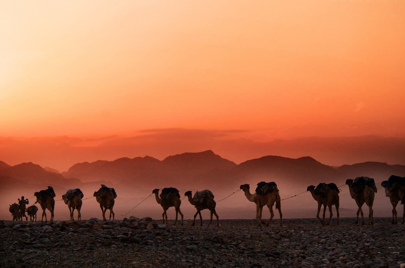 A caravan of camels in the desert. The sun sets and paints the sky orange. Mountains are visible in the background.